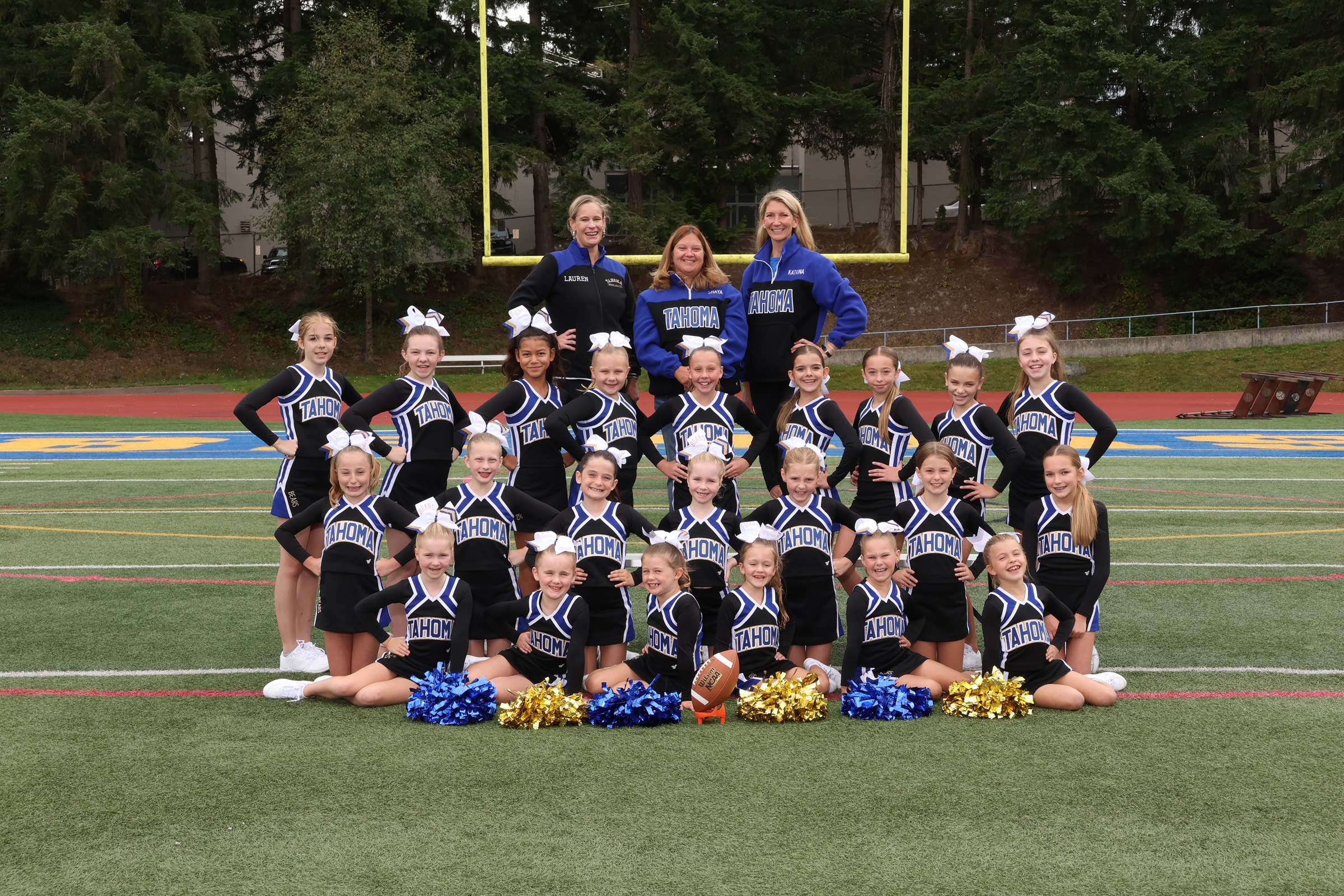 Amethyst Cheer
