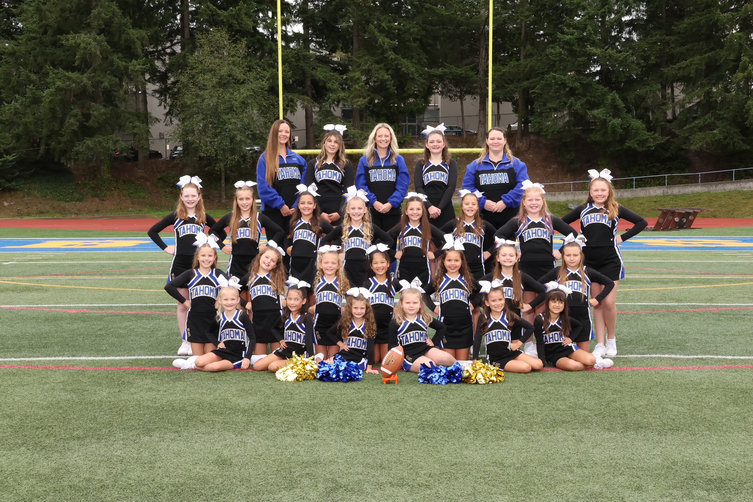 Sapphires Cheer